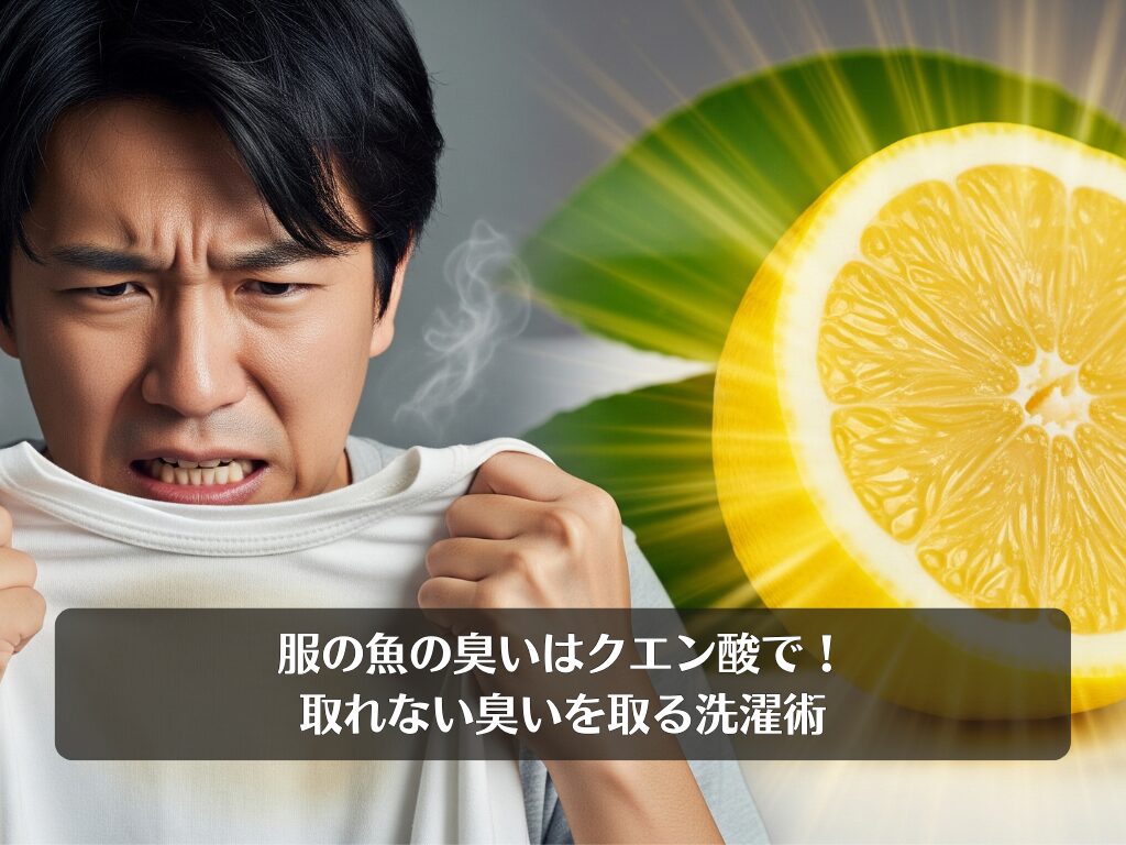 服の魚の臭いはクエン酸で！取れない臭いを取る洗濯術